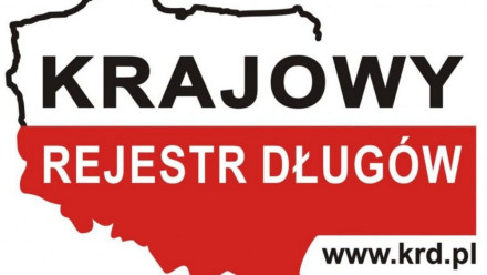 Jak sprawdzić czy jesteś w bazie KRD za darmo?